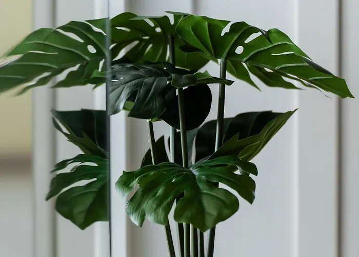 Secret View Apartment, With Private Jacuzzi Apartamento *